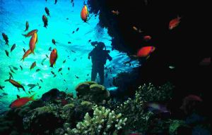 PANORAMA   TAKEN IN HURGHADA  by UGUR SIVRIKAYA 